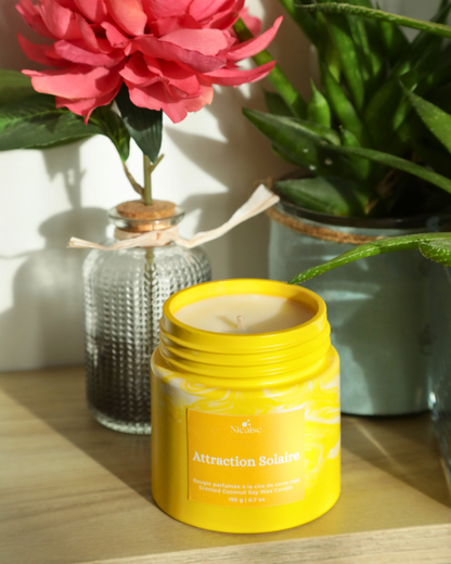 Bougie parfumée Nicaise « Attraction Solaire » en pot jaune marbré, posée sur une étagère avec aloe vera.