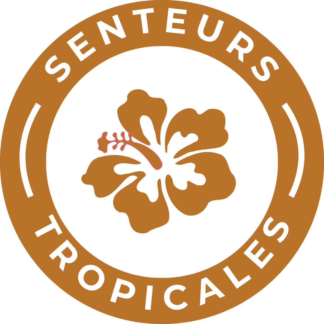 Label “Senteurs tropicales” – bougies parfumées artisanales aux notes exotiques