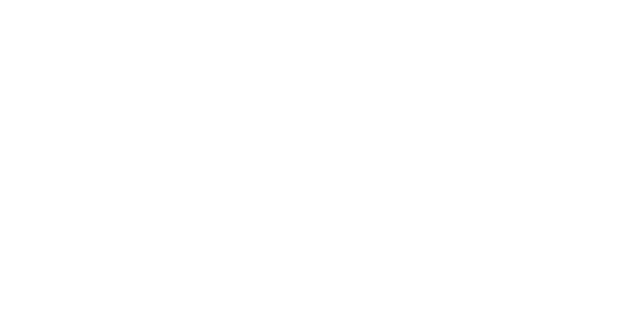 Logo Nicaise, couleur blanc, fond transparent.