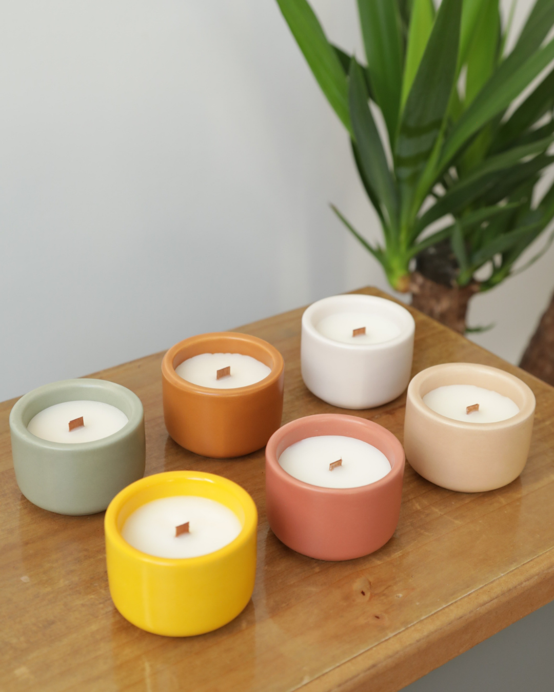 Six mini bougies parfumées Nicaise en pots colorés avec mèches en bois, présentées sur un meuble en bois et une plante verte en fond.