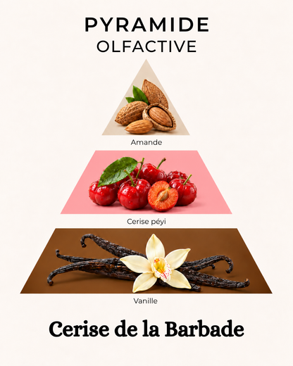 Bougie Cerise de la Barbade